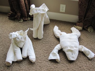 towel-animals.jpg